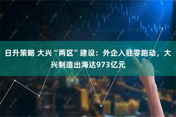日升策略 大兴“两区”建设：外企入驻零跑动，大兴制造出海达973亿元